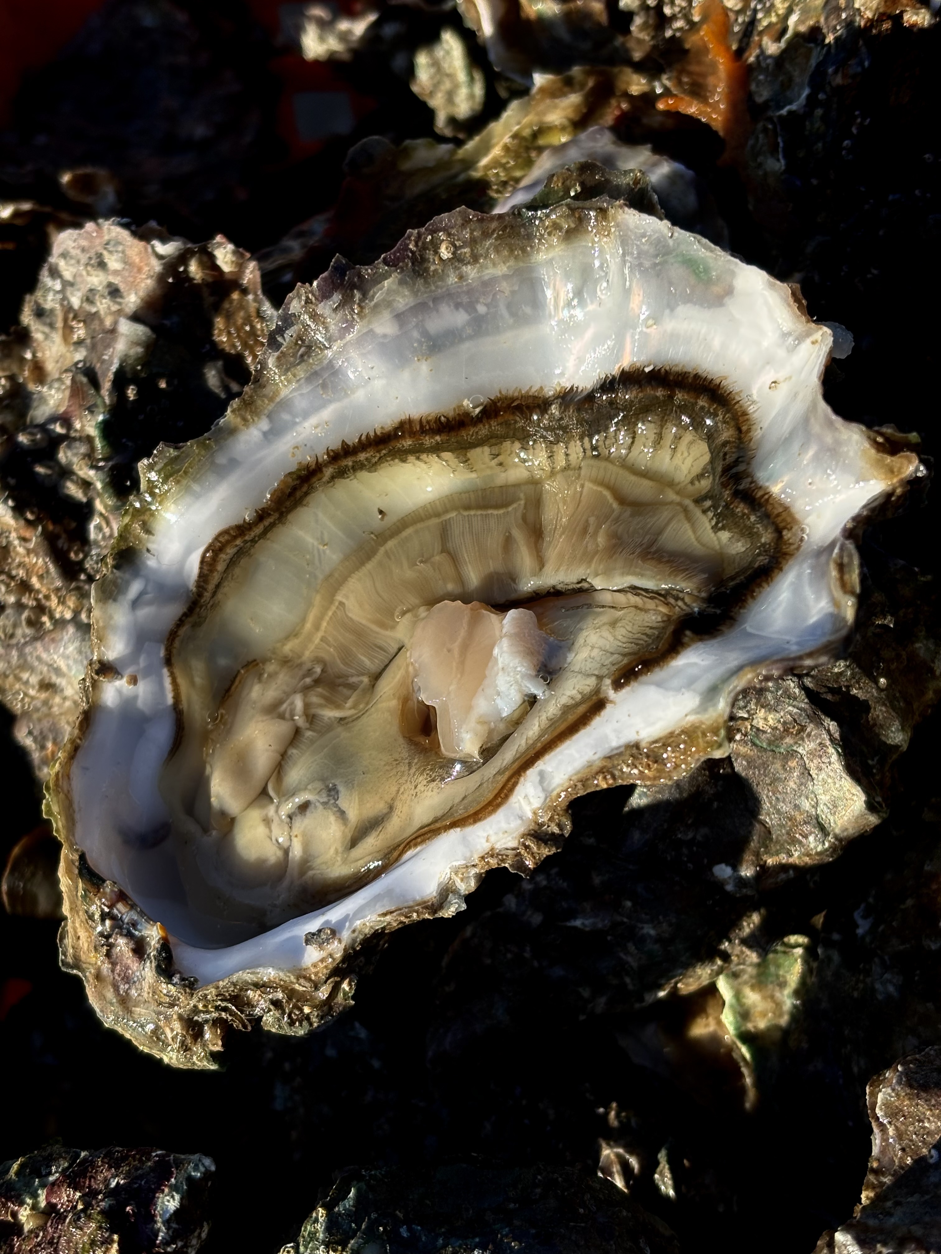 Photo de l'établissement