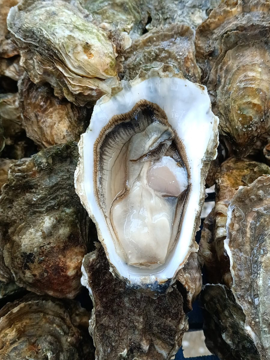 Photo de l'établissement