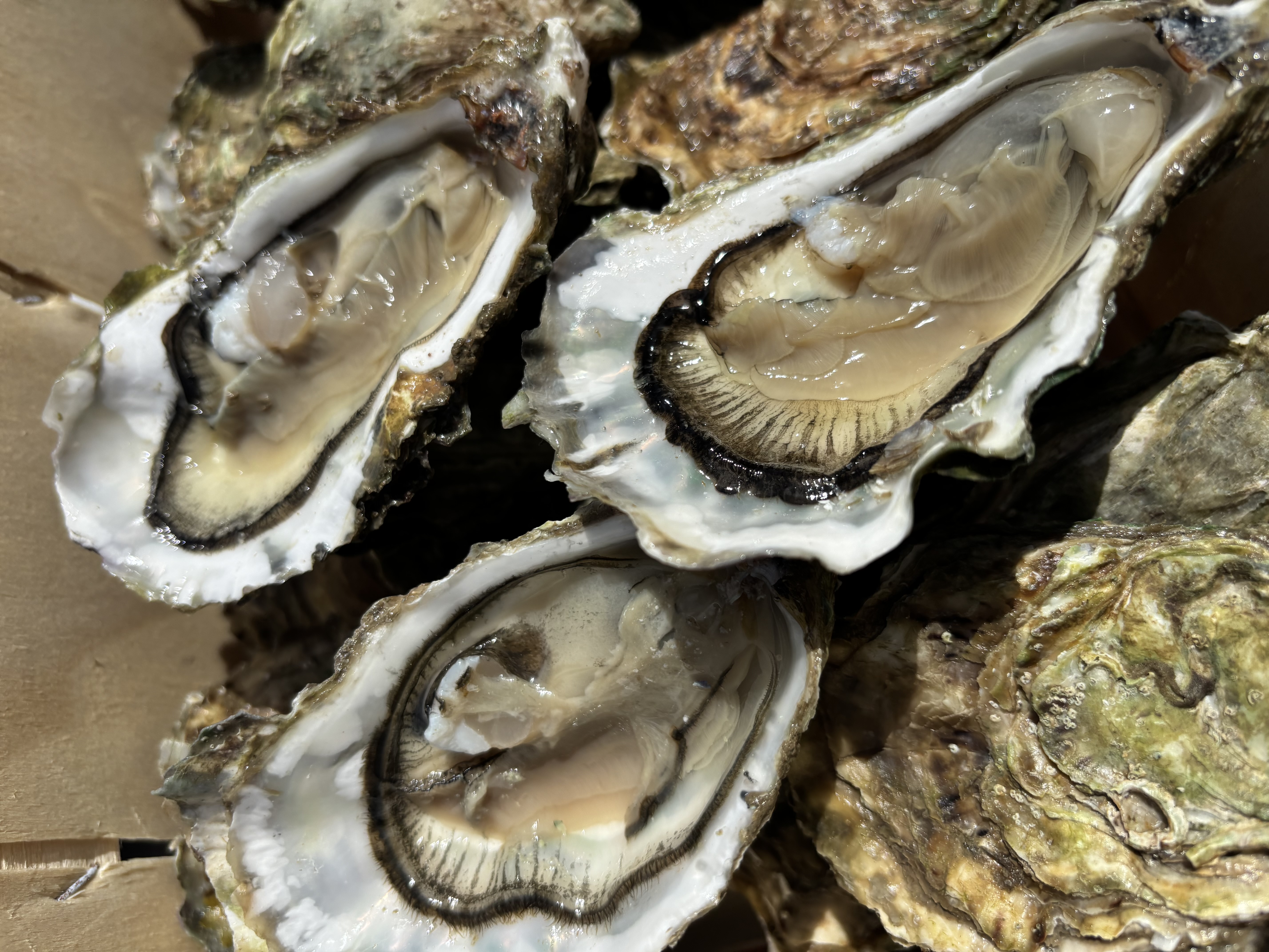 Photo de l'établissement