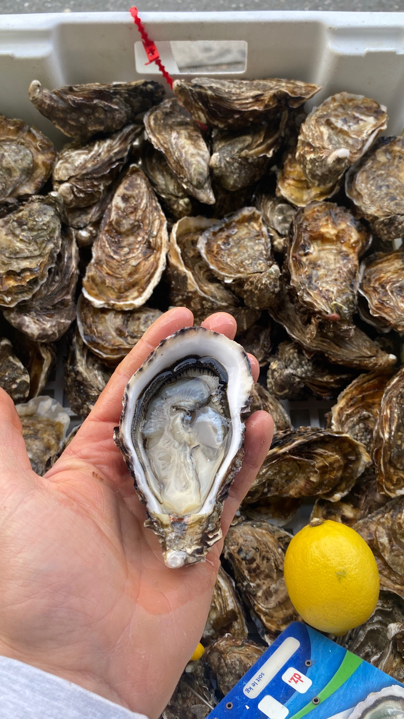 Les Fines de Vendée Huîtres Charrier & Fils